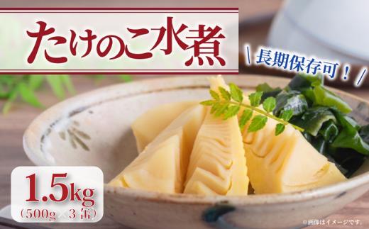 【京都山城産】たけのこ水煮缶詰 1.5kg(3缶) 白子筍 京たけのこ 国産 京都山城筍 京野菜 野菜 国産 炊き込みご飯 煮物 小分け まとめ買い 常温保存 まるやま食品  【009】 京都 京都府 井手 井手町