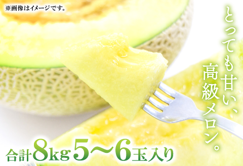 B-161 益田産アールスメロン8kg(5~6玉入り)【夏作】