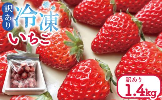 訳あり いちご 冷凍 紅ほっぺ あまえくぼ 1.4kg 冷凍いちご 人気 果物 フルーツ 冷凍フルーツ フローズン スムージー ヨーグルト アイスクリーム 新鮮 旬 冬 春 ケーキ ショートケーキ デザート ギフト 贈り物 贈答 イチゴ 苺 ストロベリー 徳島県 吉野川市 あんいちご園