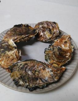 オレの牡蠣アミスイ 殻付牡蠣 3kg｜朝どれ 生食用 殻付き かき カキ 大粒 生牡蠣 生かき 生がき 生カキ 生ガキ 貝 シーフード オイスター 海産物 海鮮 魚介類 海の幸 海のミルク 濃厚 BB