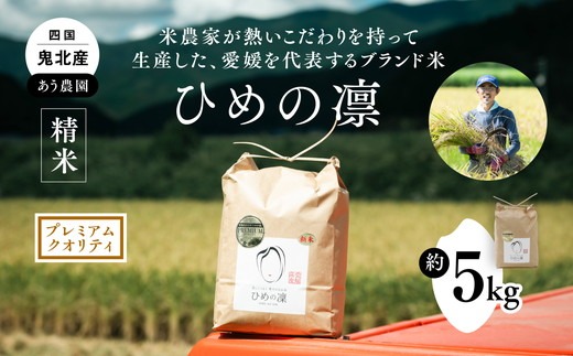 【先行予約】【R7年産】【愛媛県ブランド】ひめの凛 5kg（プレミアムクオリティ） ｜ お米 お米不足 お米品薄 おいしい お米 事業者支援 送料無料 白米 精米 愛媛県産 鬼北町 ※2025年11月上旬より順次発送予定 