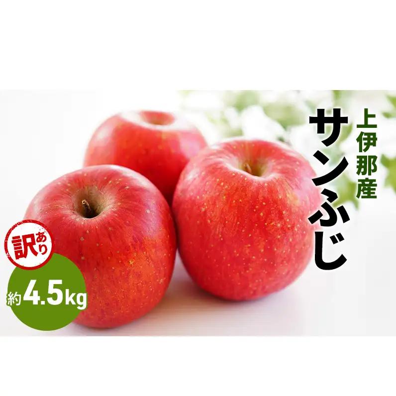 りんご 訳あり サンふじ 4.5kg りんご