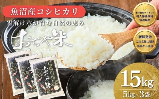 【コシヒカリ 注文後に精米する新鮮発送！】令和7年産 新潟県 魚沼産コシヒカリ 計15kg (5kg3袋) 徹底した品質管理でお届け！ JA魚沼 | 新潟産コシヒカリ 特A評価 魚沼産 新潟県産コシヒ