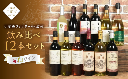 甲斐市産　たっぷり堪能！赤白ワイン12本セットワイン AD-298