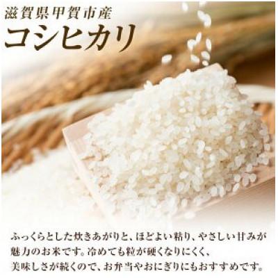ふるさと納税 甲賀市 【毎月定期便】近江米コシヒカリ白米10kg全3回 |  | 01