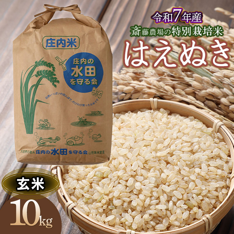 【令和7年産先行予約】 斎藤農場の特別栽培米 はえぬき 玄米 10kg(10kg×1袋) 山形県鶴岡市 K-7114