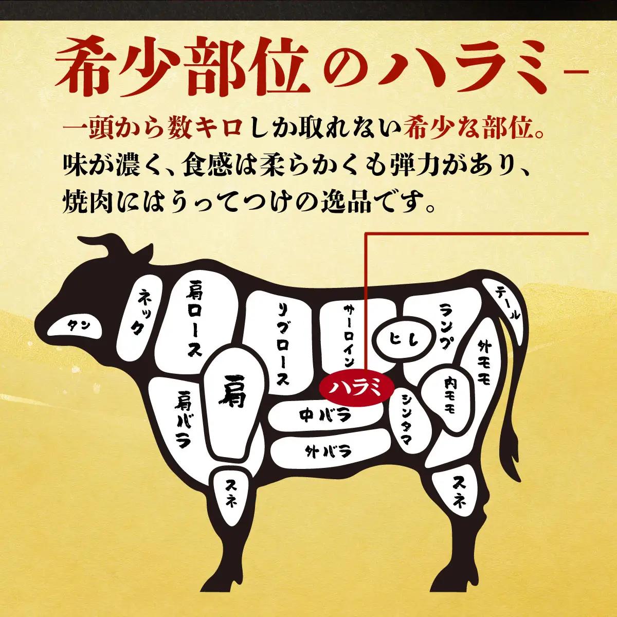 ヤマジュウの特選タレ漬け！和牛ハラミ肉５００g＆国産牛ホルモン３００ｇ