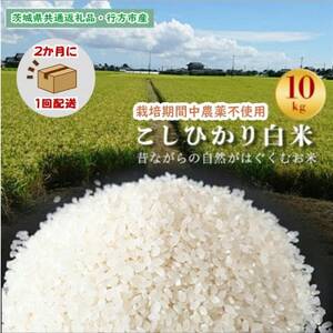 【2ヵ月毎定期便】栽培期間中農薬不使用【こしひかり】白米10kg茨城県共通返礼品・行方市産全6回【4055829】