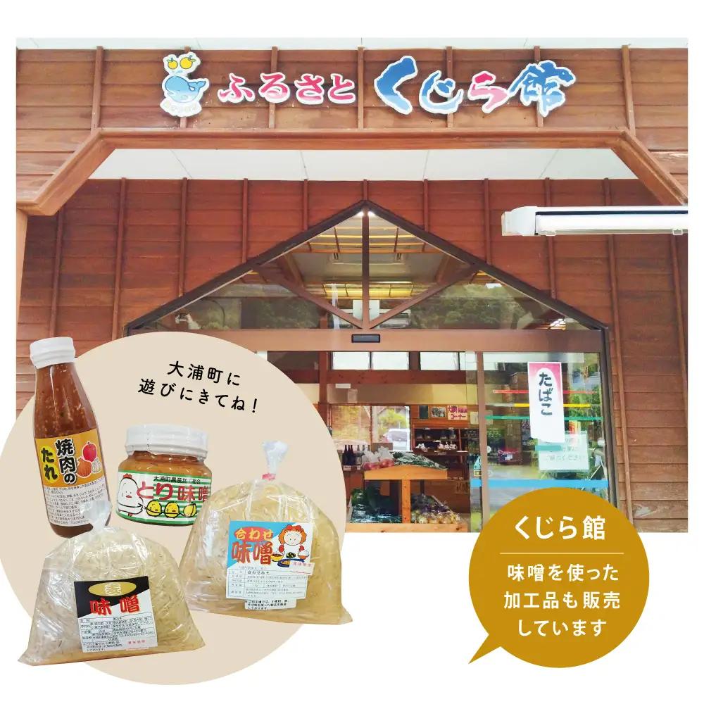 【鹿児島県産大豆使用】麦味噌・合わせ味噌詰合せ 計4.8kg (800g×6袋) 熟成発酵 麦みそ 合わせ みそ 調味料 みそ汁 豚汁 酢味噌 田舎の味 大浦町 南さつま市