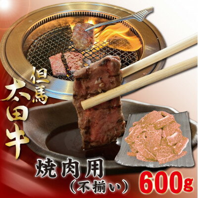 【ふるさと納税】訳あり 但馬 太田牛 焼肉用(切り落とし) 600g OY1【配送不可地域：離島】【1551652】