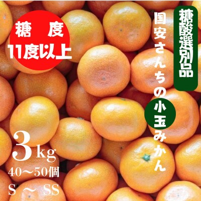 【糖度11度以上 酸1.0以下 糖酸選別品】小玉 愛媛みかん 3kg【C20−57】【1595877】