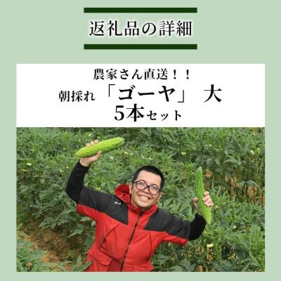 ふるさと納税 石垣市 南国石垣島では冬が旬 朝採れゴーヤ大5本セット 2026年1月上旬〜2月中旬頃まで順次発送 |  | 03