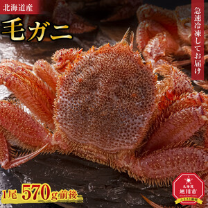 北海道産毛ガニ1尾 570g前後 | 毛ガニ_05580