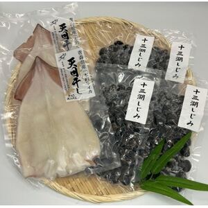 鰺ヶ沢の生干しイカ(210g～269g×2枚)と、十三湖産しじみ(250g×4袋)セット【配送不可地域：離島】【1650441】