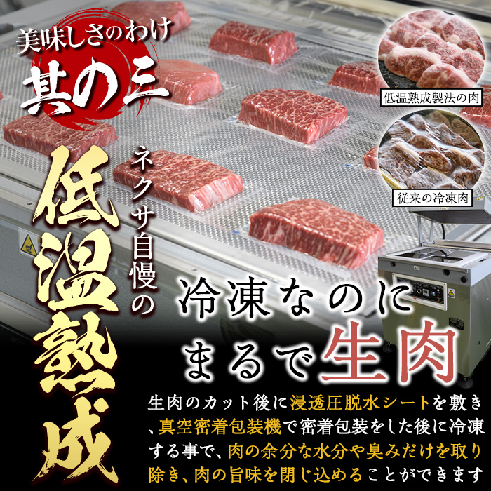 プライム牛 塩ハラミ(計600g) 小分け 牛肉 肉 ハラミ 牛はらみ 味付け 焼肉 塩 BBQ 冷凍 大分県 佐伯市【DH296】【(株)ネクサ】