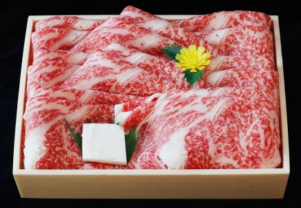 【冷蔵・年6回お届け定期便】 特選 黒田庄和牛ロースプレミアムセット（焼肉・すき焼き・しゃぶしゃぶ・ステーキから選べます！）　（300-2）