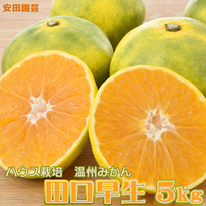 【ふるさと納税】【数量限定・先行予約】甘みが強く最高の食感 早生 温州みかん『田口早生』5kg　[0009-0027]