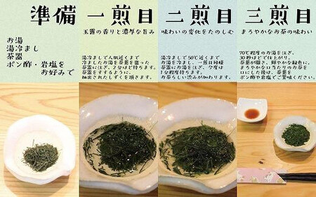 【茶器・玉露セット】幻の星野焼茶皿で日本一の玉露八女伝統本玉露を愉しむ　横町町家交流館　源太窯　072-159