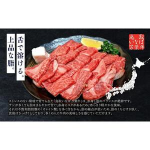 626.鳥取 いなば万葉牛 焼肉用 カルビ セット　1kg | カルビ