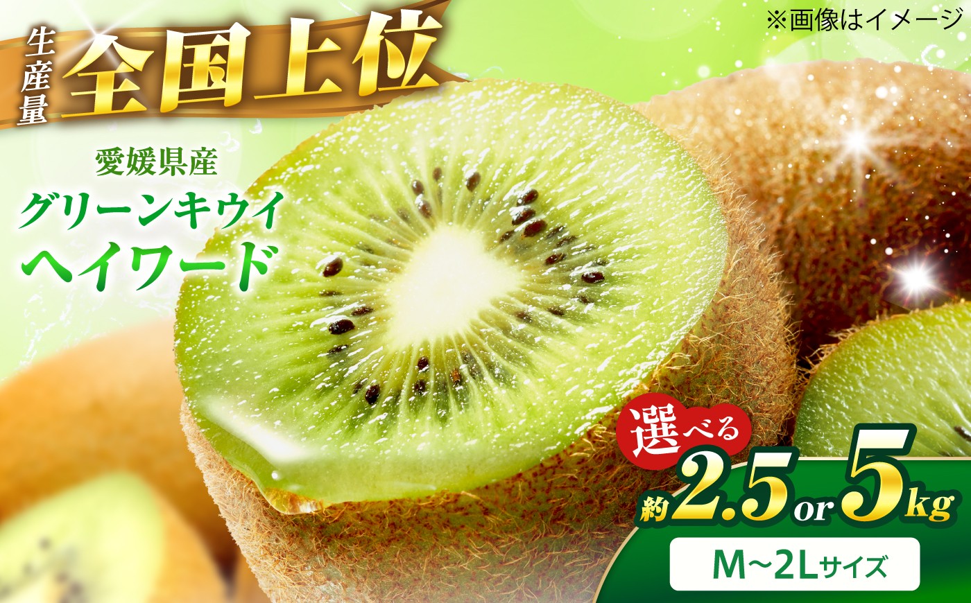 
                  【選べる容量】キウイフルーツ グリーンキウイ ご家庭用 M-2Lサイズ 約2.5kg 【1月上旬から3月下旬まで順次発送】 / フルーツ 果物 キウイ キューイ キゥイ キュウイ グリーン 甘い 先行予約 愛媛 おすすめ くだもの スイーツ デザート おやつ お菓子 ヘイワード スムージー ヨーグルト ジャム 秀品 酸味 バランス / 愛媛県砥部町/株式会社フジ・アグリフーズ [BJBI019]
                