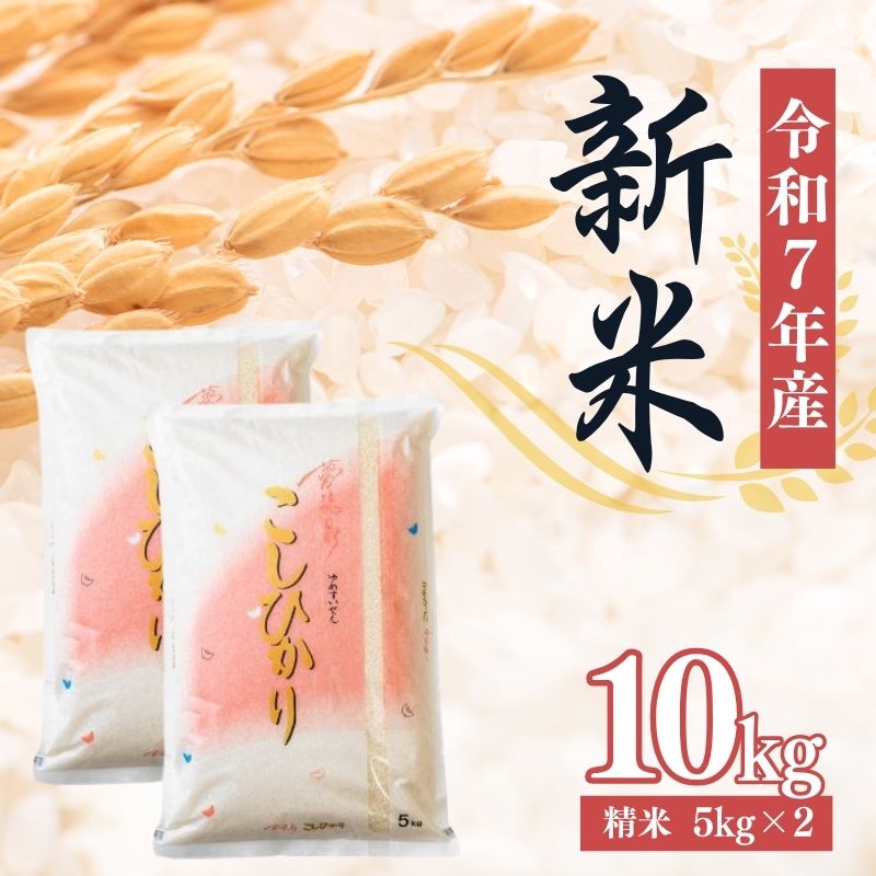 No.2381大文字屋米穀店【令和7年産】 コシヒカリ精米 10kg（5kg×2）