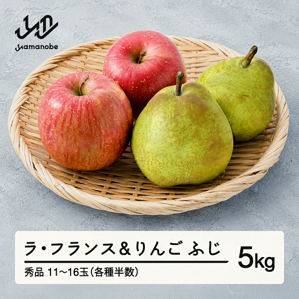 【ふるさと納税】《先行予約》2026年 山形県産 令和8年 ラ・フランス りんご 5kg ※沖縄・離島への配送不可 ts-fslro5