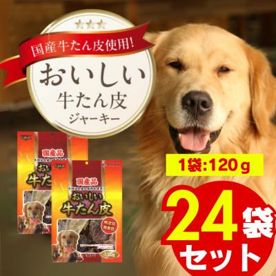 ふるさと納税 久留米市 おいしい牛たん皮 120g×24袋(久留米市)