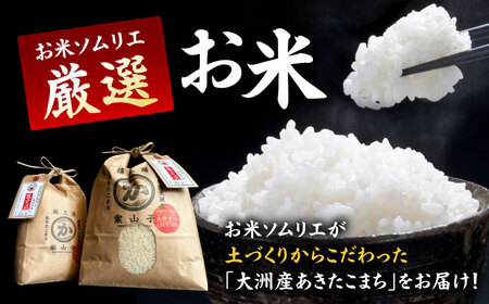 うなぎ 2尾＋お米（3kg）【冷蔵】 鰻 国産[AGAH004]