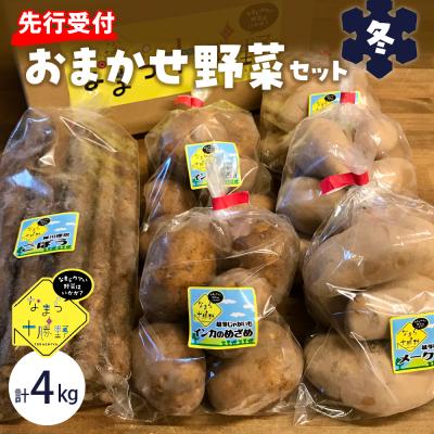 ふるさと納税 芽室町 【先行受付】【2027年2月より順次発送】北海道十勝芽室町 季節のおまかせ野菜セット(冬)