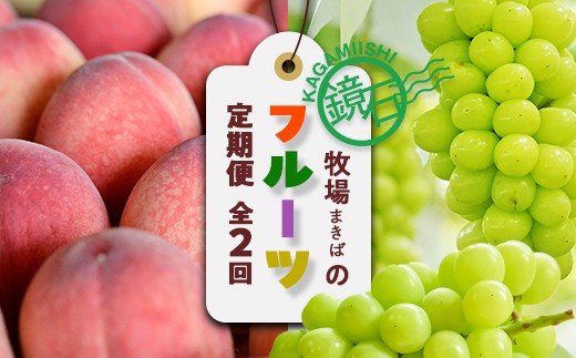 
            【2026年から発送開始】鏡石町 まきばのフルーツ定期便（桃 約3kg・シャインマスカット2房）モモ もも ブドウ ぶどう 福島県 鏡石町 F6Q-423
          