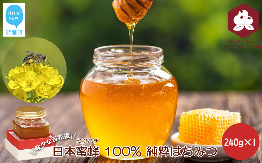 
日本蜜蜂 100% 純粋 はちみつ 非加熱 240g×1 希少 国産 蜂蜜 ハチミツ
