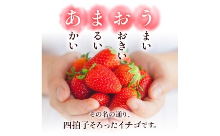 いちご あまおう 福岡県産 いちご【1000g 4パック】【先行予約】