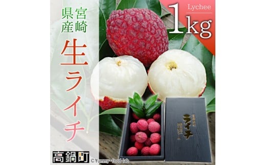 
            【先行予約】＜宮崎県産ライチ1kg＞2026年7月中に順次出荷 ライチ 果物 フルーツ 宮崎県 高鍋町
          