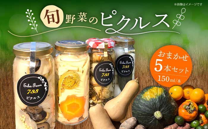 
            お任せピクルス５本セット化粧箱入り《築上町》【ERBA FARM733】 [ABAP006] 21000円 [ABAP006]
          