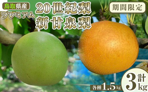 ＜8月上旬～9月下旬発送予定＞＜数量限定＞こばやし農園プレミアム20世紀梨・新甘泉梨セット(計3kg・各種1.5kg)【sm-CK013】【こばやし農園】