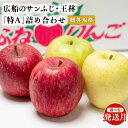 【ふるさと納税】≪発送時期が選べる≫青森県産 贈答用 広船のサンふじ・王林詰合せ 約5kg 特A【青森県 平川市 広船アップルクラブ】贈答 サンふじ ふじ 王林 広船 年内 青森 青森県産 平川 りんご リンゴ 林檎 くだもの 果物 フルーツ レビューキャンペーン