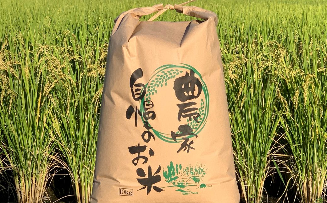 玄米＼11月より順次お届け／令和7年産 新米 15kg 玄米 単一原料米 れんげ ハツシモ 岐阜美濃の誇り れんげ育ちのハツシモ 米 新米 ごはん 白米 精米 お米 大黒屋 岐阜県 大垣市