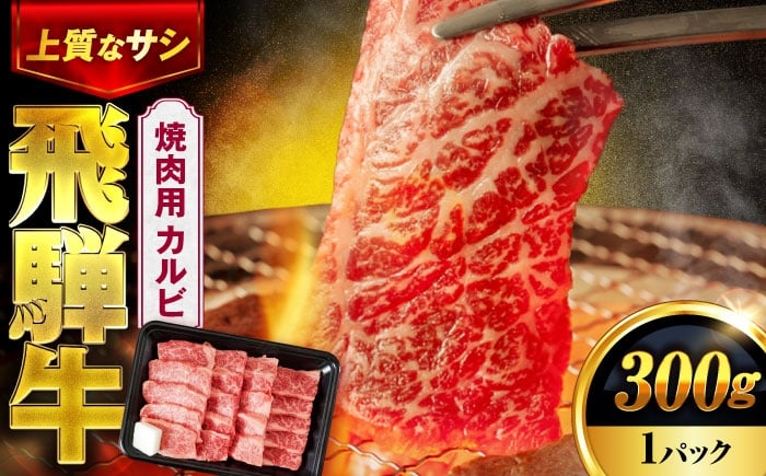 
            飛騨牛 焼肉用(カルビ) 300g 【土岐市観光協会】牛肉 飛騨牛 国産牛 和牛 ブランド牛 飛騨 肉 焼肉 やきにく 焼き肉 バーベキュー BBQ カルビ 旨味 黒毛和牛 赤身 霜降り [MHI003]
          