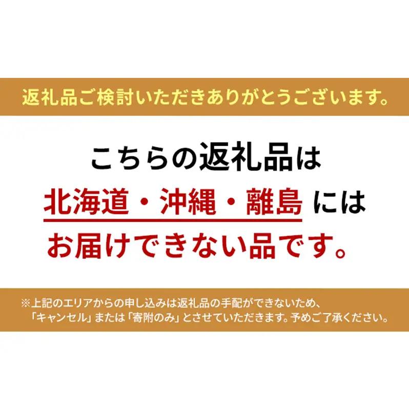 ぶどう 2026年 先行予約 赤秀ぶどう プレミアム シャインマスカット 晴王 2房 1.2kg 9月～10月発送  岡山県産 シャインマスカット