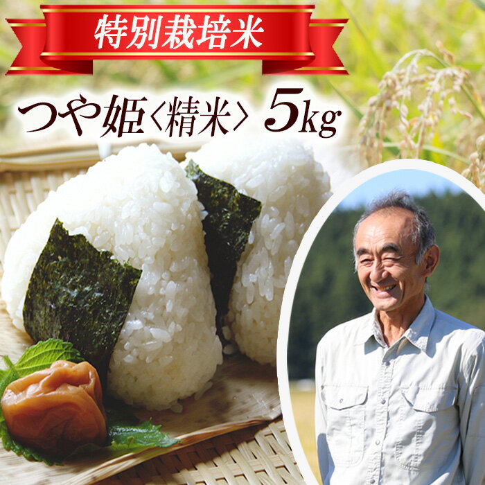 【ふるさと納税】つや姫 5kg×1袋 令和7年産米 特別栽培米 山形県遊佐産 鳥海山の恵 東北 遊佐町 庄内地方 庄内平野 米 お米 精米 白米 庄内米 ごはん ご飯