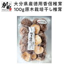 【ふるさと納税】訳あり 干し しいたけ 100g 徳用 八宝堂 こうしん椎茸 原木栽培 大分県産 バラ寿司 巻き寿司 お徳用 国内産 九州産 ギフト 贈り物 贈答用 食品 食べ物 料理 惣菜 おかず お取り寄せ 送料無料