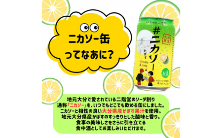 大分むぎ焼酎 二階堂 #ニカソー缶かぼす(350ml×48本)【1676192】