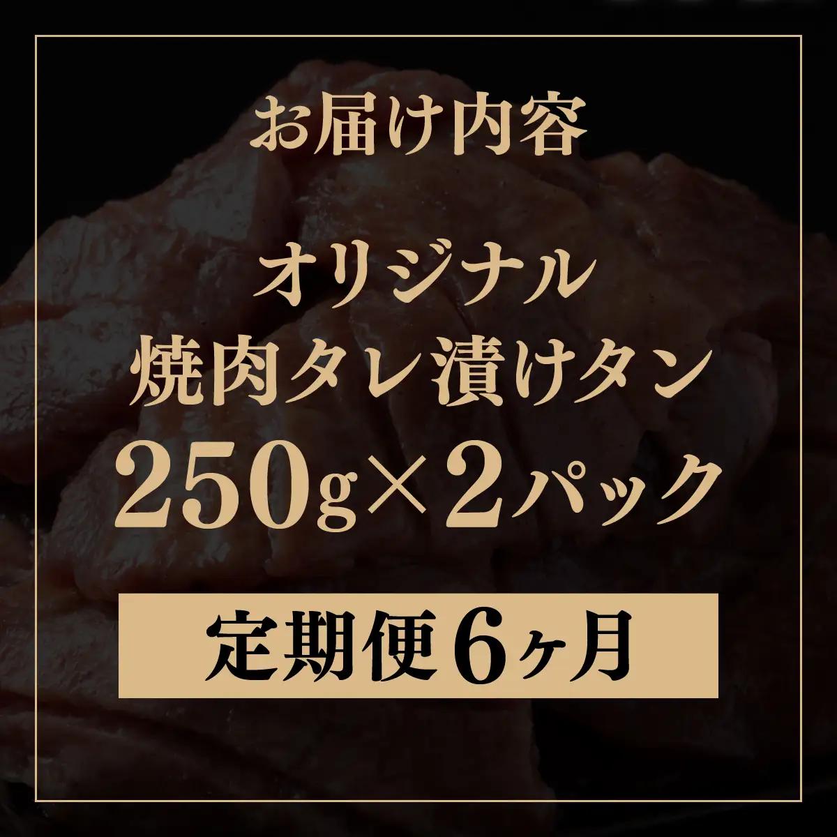 訳あり 牛タン 250g×2パック 焼肉タレ漬け【6ヶ月定期便】[058-t06-a035]