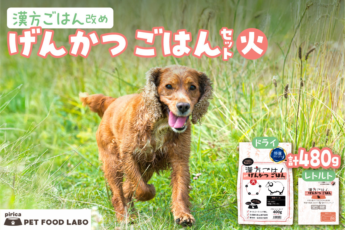 
            漢方ごはん改めげんかつごはん火（ドライ400g＋レトルト1個）セット
          