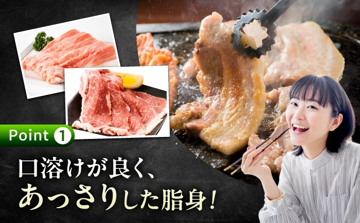 豚肉 ぶたにく 豚 ブタ 大容量 小分け 個包装 真空パック 国産豚肉 精肉