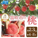 【ふるさと納税】＜25年発送先行予約＞ 山梨の完熟桃2.3kg以上 ふるさと納税 もも 桃 笛吹市 国産 人気 期間限定 果物 フルーツ 旬 山梨県 送料無料 111-018