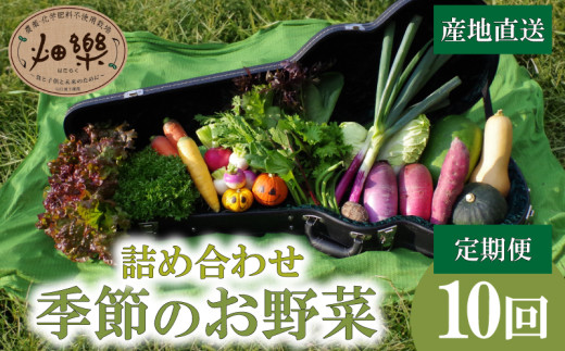 旬 の 野菜 詰め合わせ セット 10回 定期便 7 ~ 9 品【2025年5月以降順次発送】 お楽しみ 産地直送 農家直送 季節 春 夏 秋 冬 露地野菜 やさい サラダ 農薬 化学肥料 不使用 下関 山口