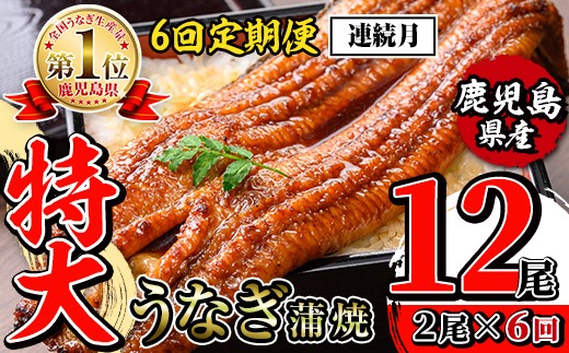 i1173-A ＜定期便・計6回(連続月)＞＼特大サイズ／鹿児島県産 うなぎ蒲焼 2尾セット ＜（約220g×2・計約440g）×全6回＞ 定期便 たれ 山椒付きうなぎ 鰻 ウナギ 特大 特大サイズ 約220g 蒲焼き 国産 鹿児島県産 焼きたて 生産量日本一 真空パック おかず 晩御飯 特別な日 土用の丑の日 【薩摩川内鰻】
