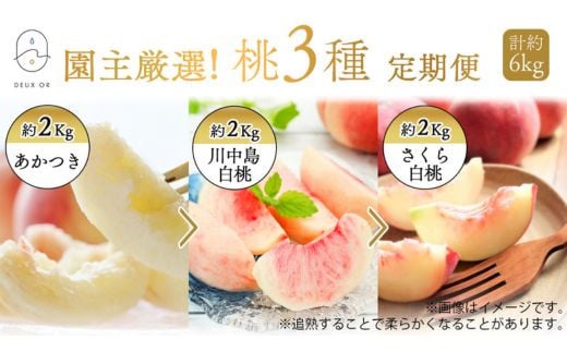 No.2674園主厳選！もも3種定期便　各約2kg【2026年発送】