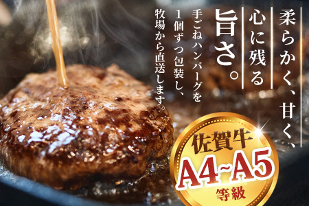 佐賀牛 サーロインステーキ200g×3枚計600g 柔らかハンバーグステーキ130g×4個計520g【佐賀牛 サーロイン ステーキ ハンバーグ 高級部位 赤身肉 霜降り】(H122127)